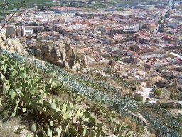 Castillo de Mula 2010